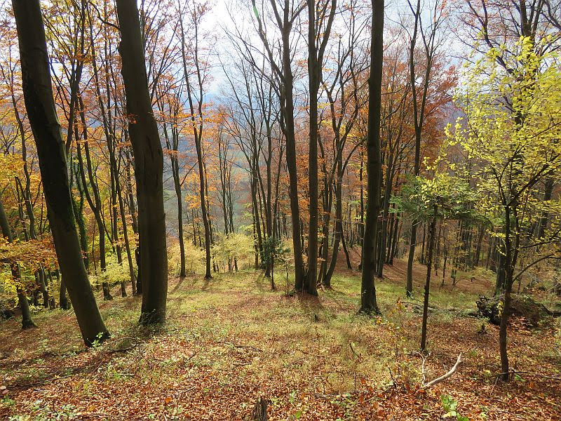 Sulowskie Wierchy