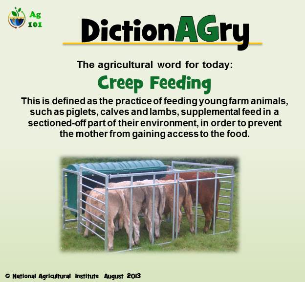 driftglass Creep Feeding