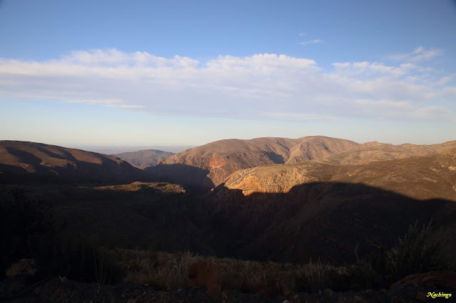Ciudad del Cabo y Garden Route - Blogs de Sudáfrica - 24-11-18. Día de transición entre Robertson y Oudtshoorn. (4)