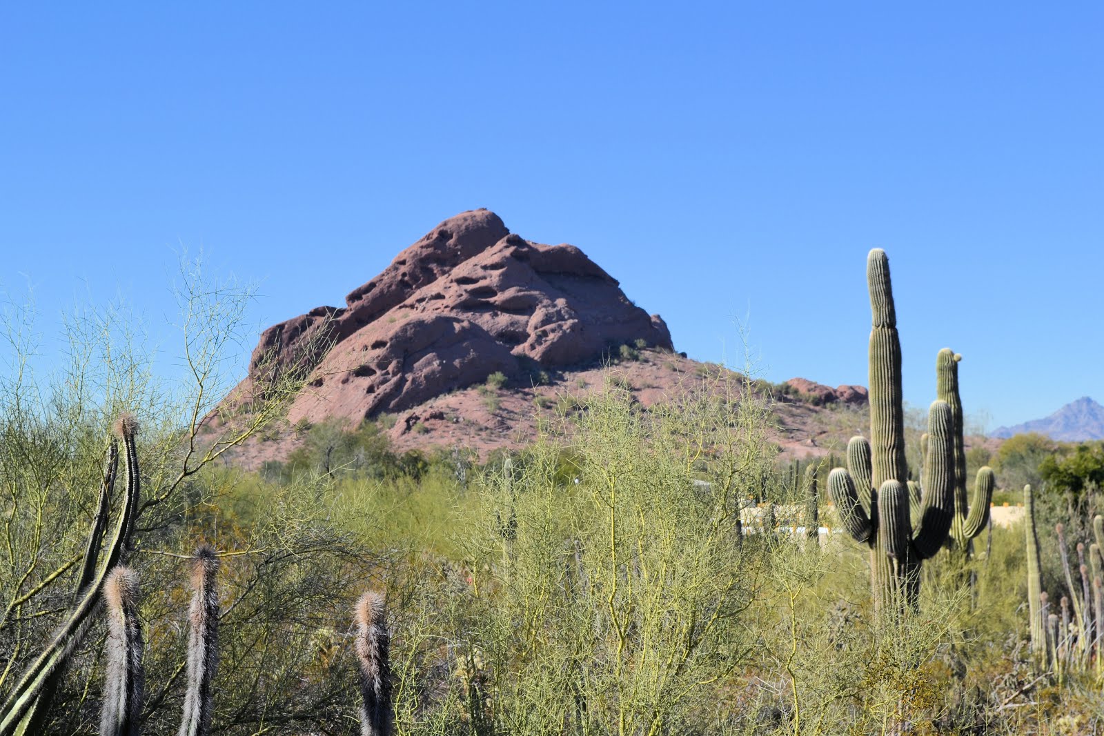 Nothing Like a Walk in the Desert