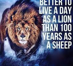 Live Life Like a Lion