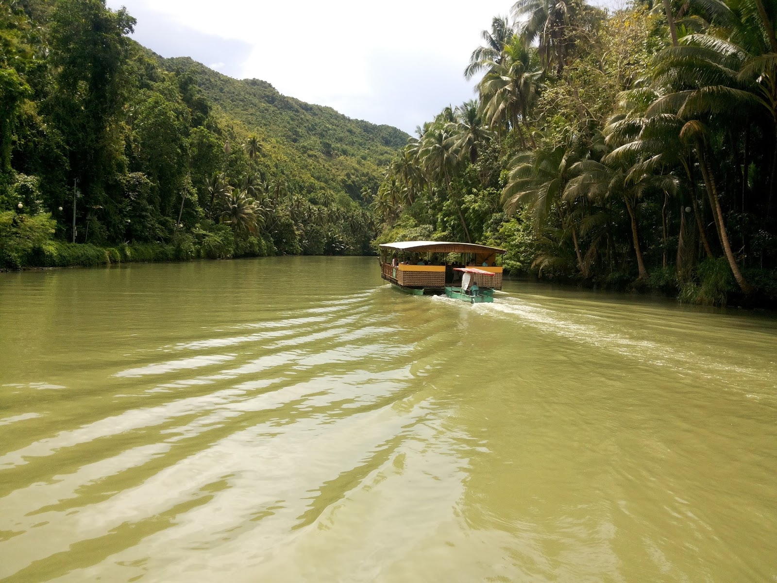 What's the Latest in Bohol Day Tour? Increase in Prices
