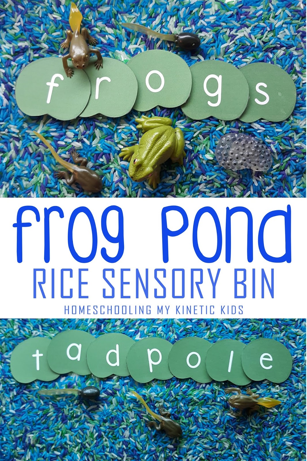 Frog Pond Sensory Bin Sensory Bins Home Daycare Senso vrogue.co
