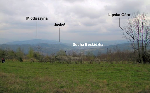 Panorama z polany na Gołuszkowej Górze.