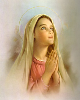 Resultado de imagem para nossa senhora da pureza