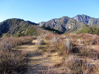 View northwest from highpoint 3724’ on Hastings Ridge toward Hastings Peak (left), Mount Harvard, and Mount Wilson, Angeles National Forest