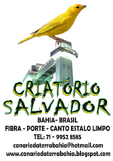Criatório Bulú Papacapim - Coleiros - Salvador/BA