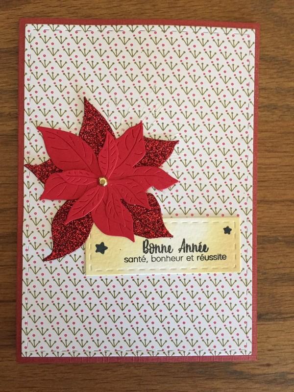Pourquoi Mon Poinsettia Ne Rougit Pas Cartes de Nouvelle Année