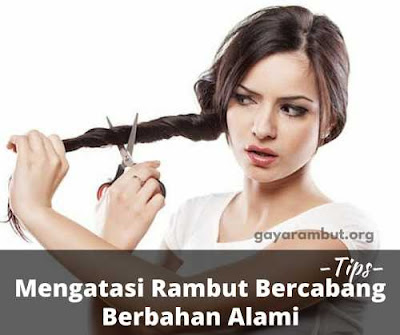 tips mudah mengatasi rambut bercabang tips mudah mengatasi rambut bercabang_6322014
