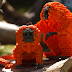 Artista usa 125 mil peças para criar 'zoológico de Lego' nos EUA