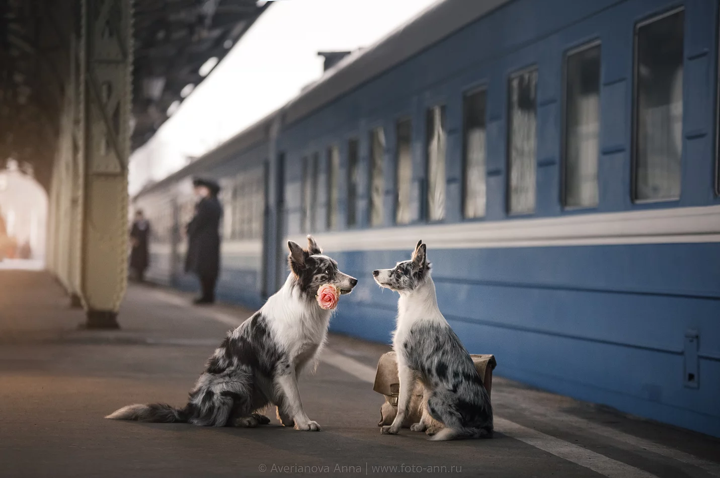 Собака на вокзале