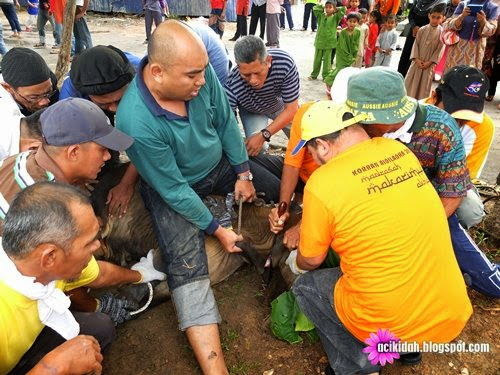 Aidiladha 2014 Dan Ibadah Korban Aidiladha 2014 Dan Ibadah Korban