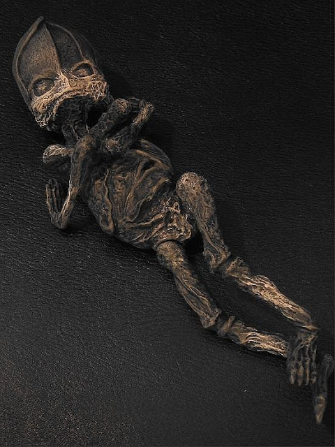 Russian mummified alien body