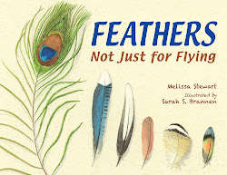 feathers flying stewart feather bird birds different melissa illustrated books species eye fiction main nonfiction brannen american detectives type math