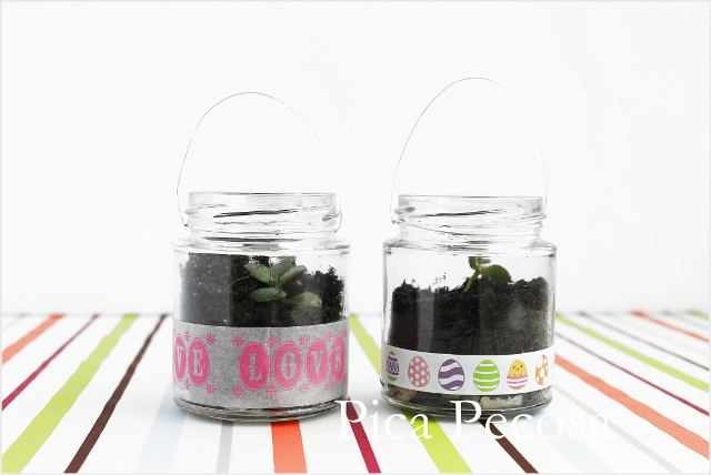 tutorial-hacer-regalo-companeros-colegio-cumpleanos-planta-en-bote-cristal-con-asa-alambre-diy