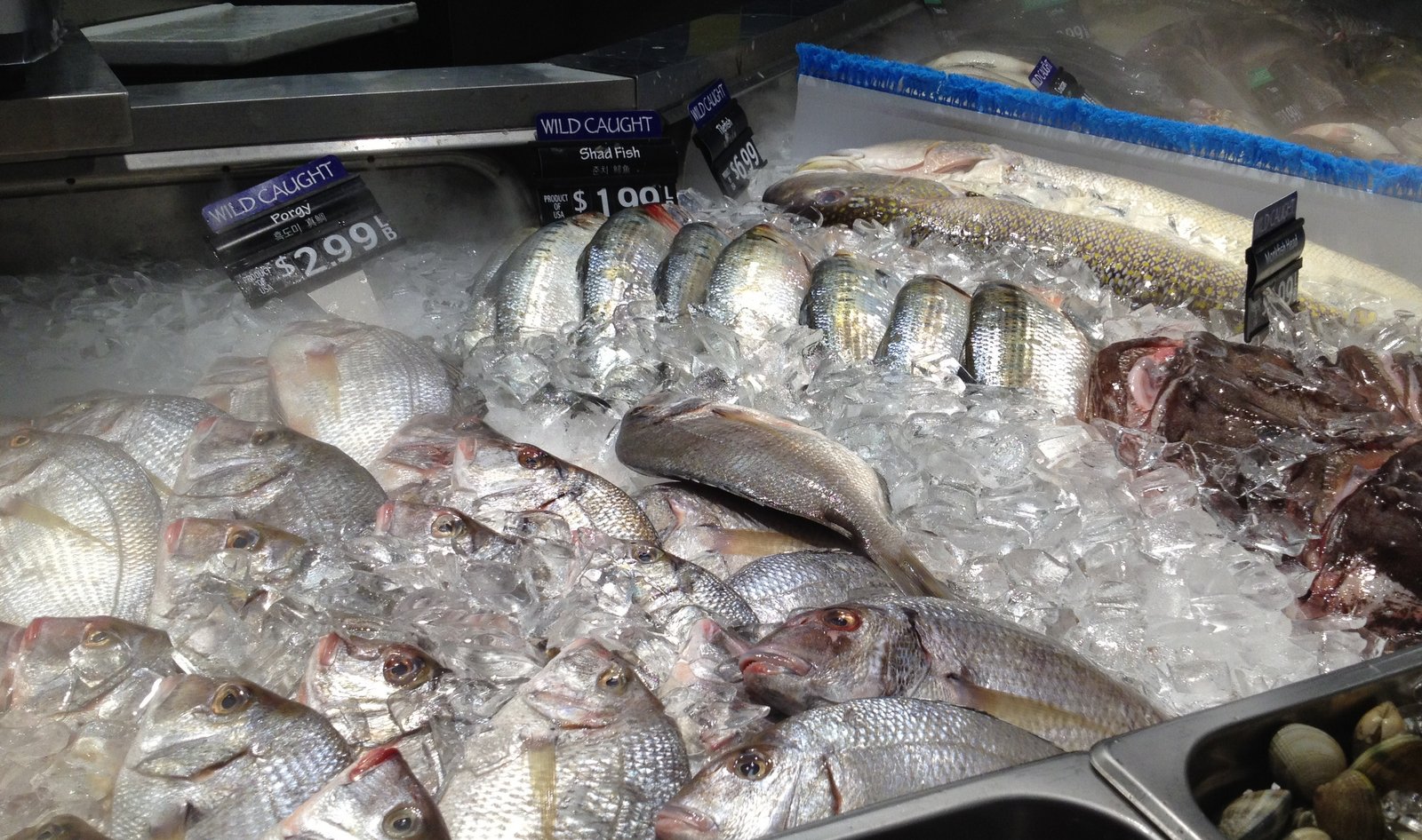 Westchester and New York Indian restaurant reviews H Mart in Hartsdale