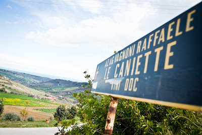 le caniette cantina marche
