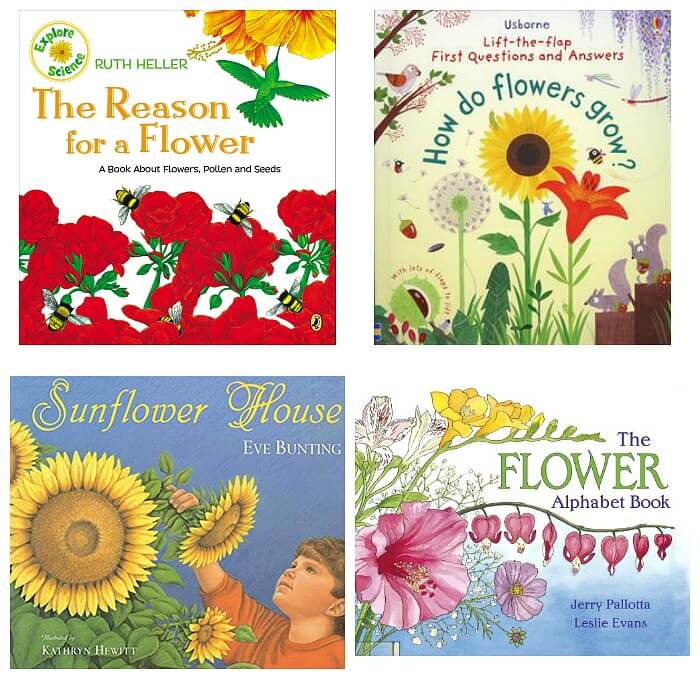 10 Flower Books for Preschoolers | Sunny Day Family