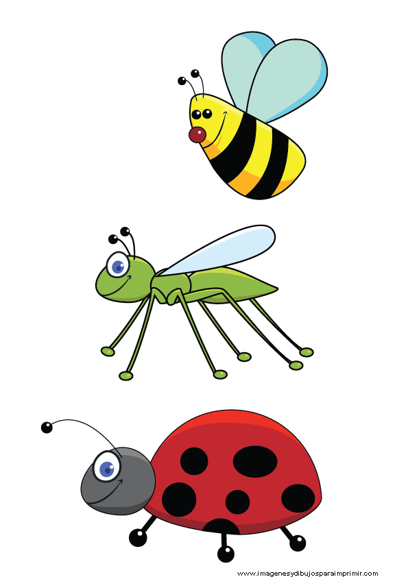 Insectos Infantiles Para Imprimir Gratis Imagenes Y Dibujos Para Imprimir
