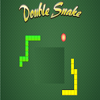 Double Snake