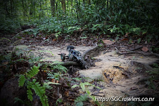 [PHOTOS] 20160424 - Rifle Range Road - Durian Loop Trail Photos DSC02853