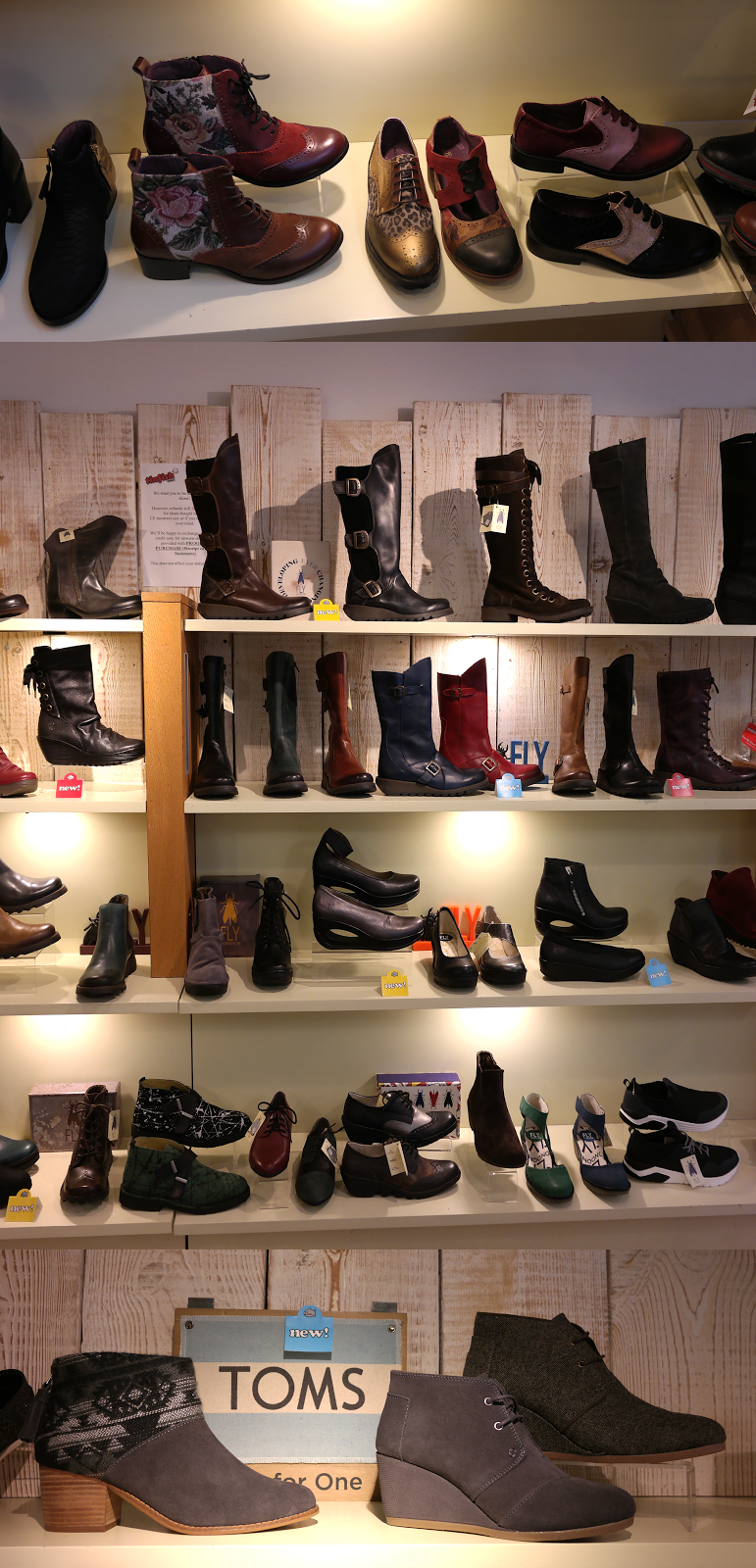 TINFISH SHOES, LEICESTER Nancy WhittingtonCoates