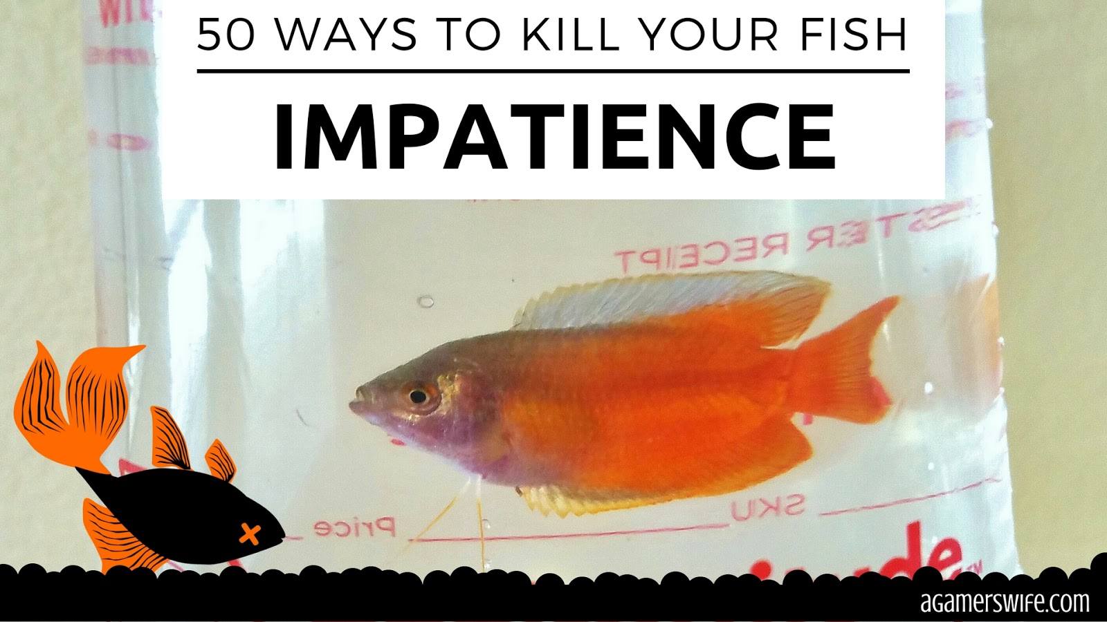 50 Ways To Kill Your Fish Impatience