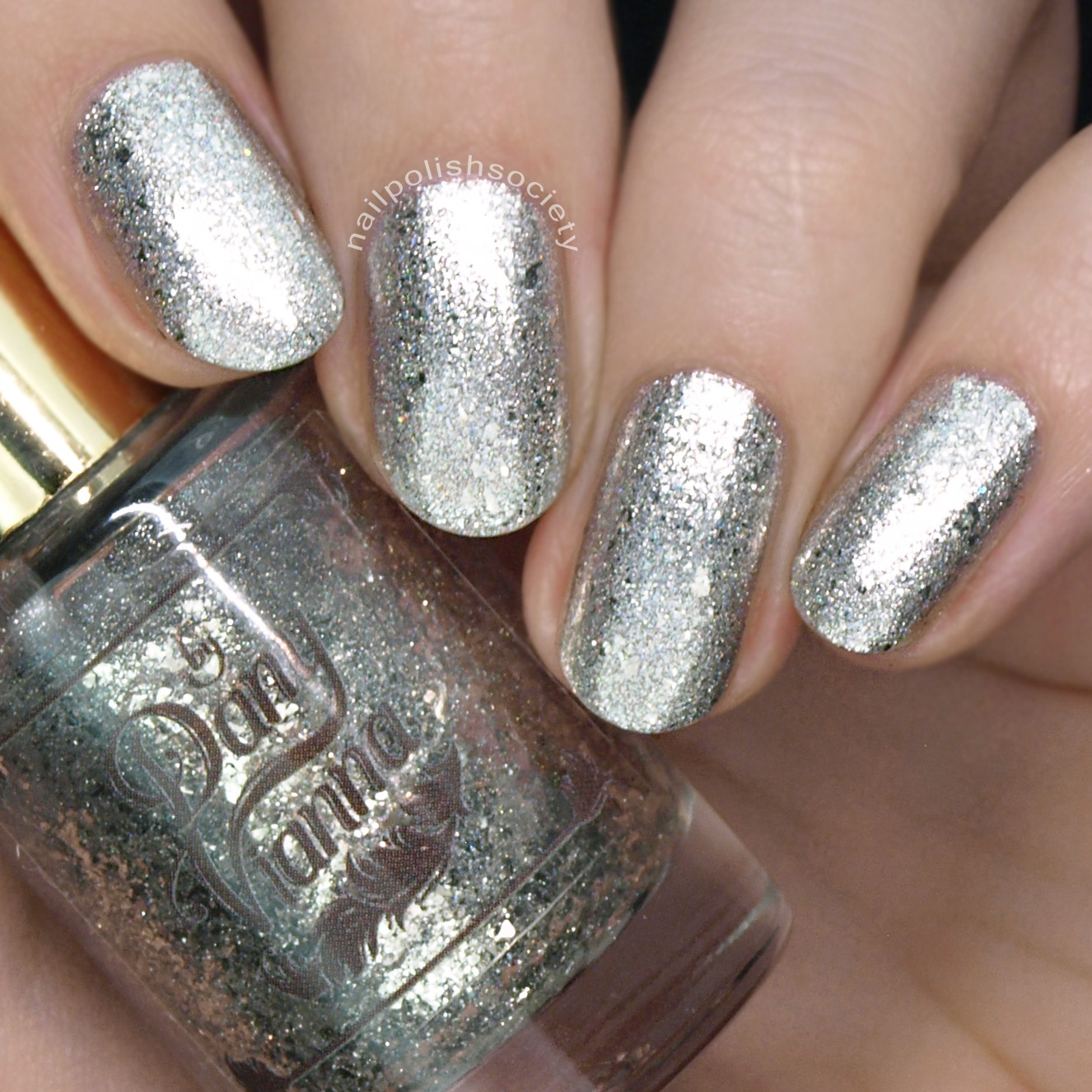 Nail Polish Society: by Dany Vianna Swatch and Review