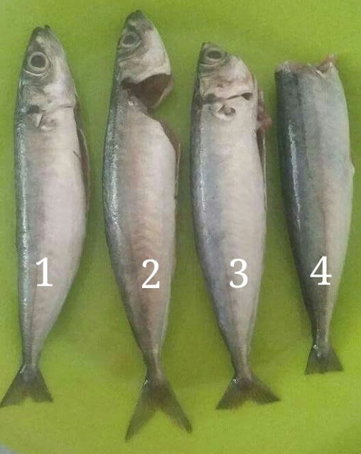 Cara Mudah dan Cepat Siang Ikan! Cara Mudah dan Cepat Siang Ikan!