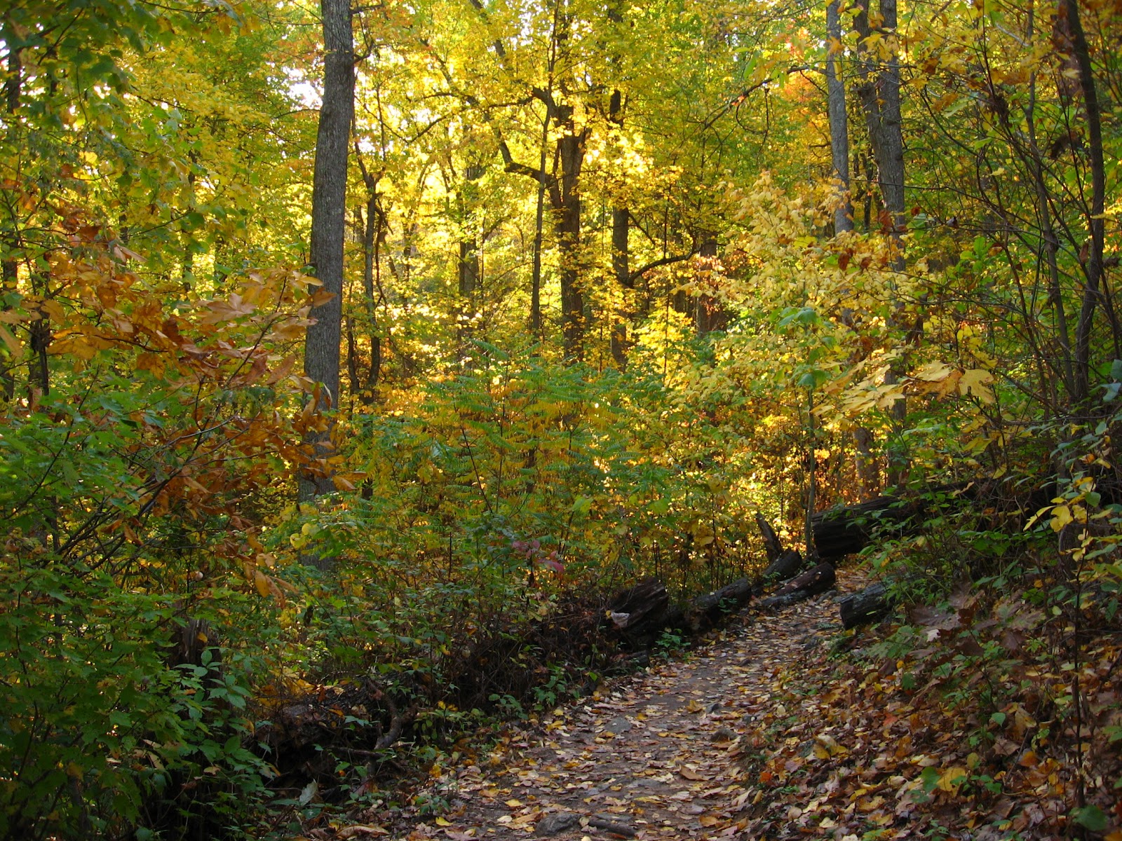 Hiking Shenandoah Old Rag Mountain