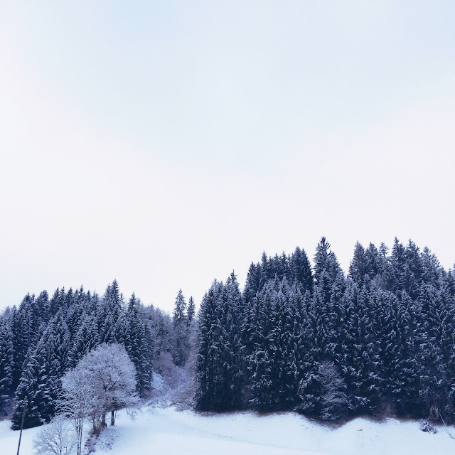 Schnee, Winterwonderland, Tirol, Winter 2016
