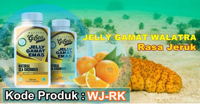 Pengobatan Paru Paru Basah Obat Paru Paru Basah