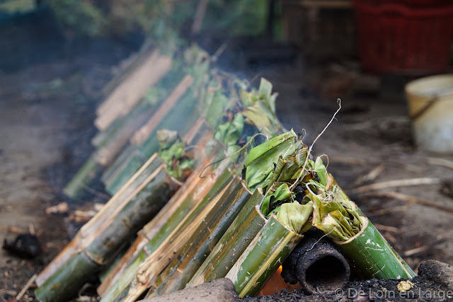 Campagne de Battambang - Cambodge