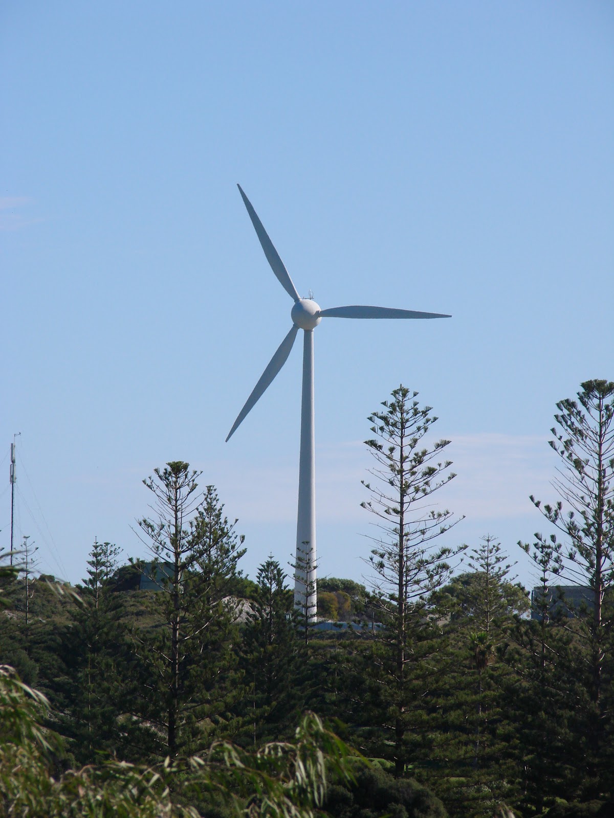 hi-spirits-rottnest-island-first-day