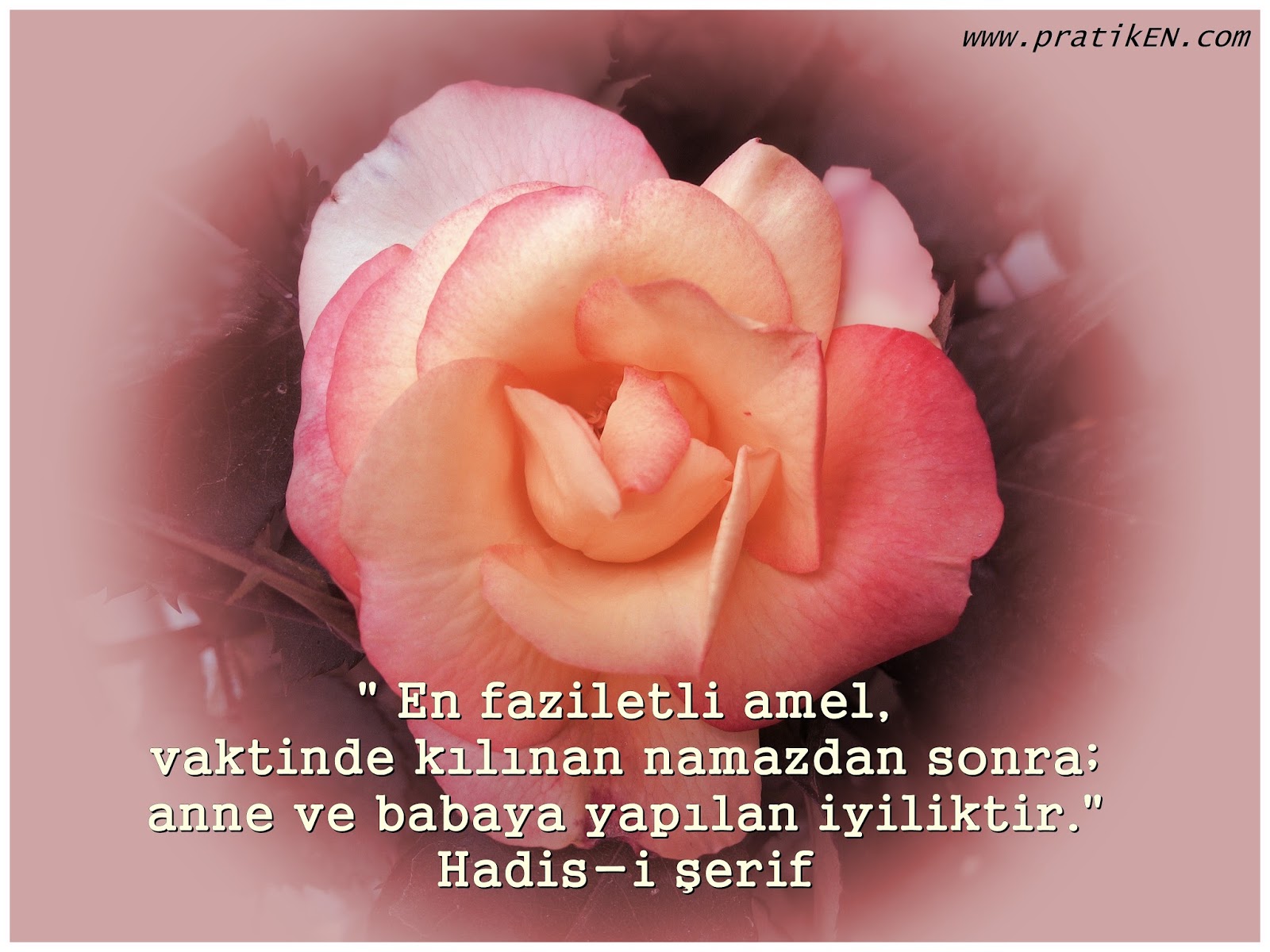Babalar Günü En Güzel Sözleri Babalar Günü En Güzel Sözleri