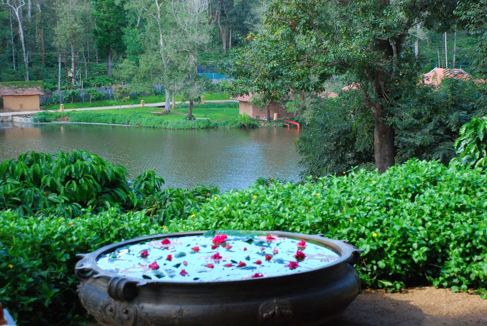 -Orange County Resorts in Coorg, India- | Where we truly ...