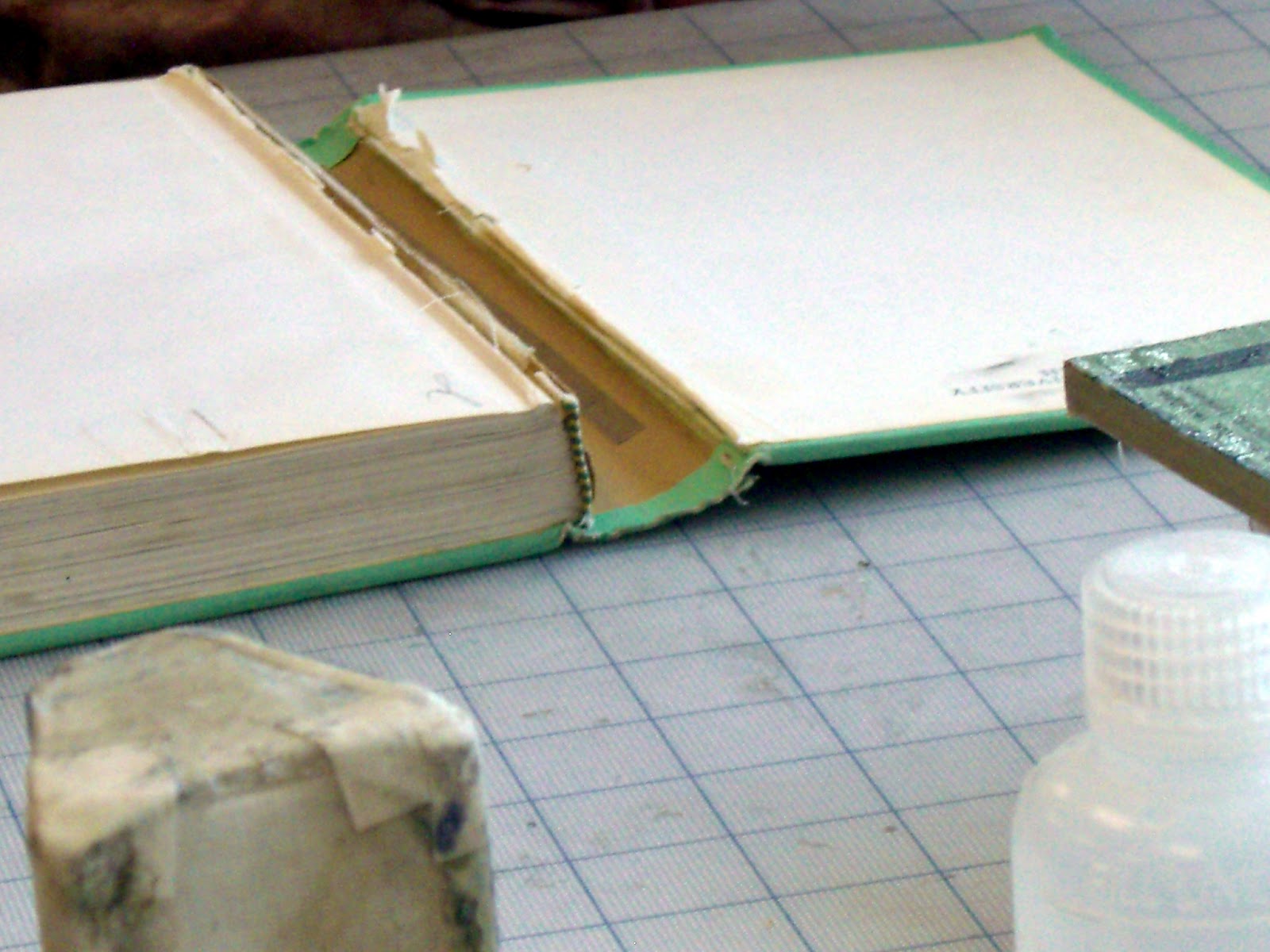 Saltzworks Book Mending Mini Series Separated Spine