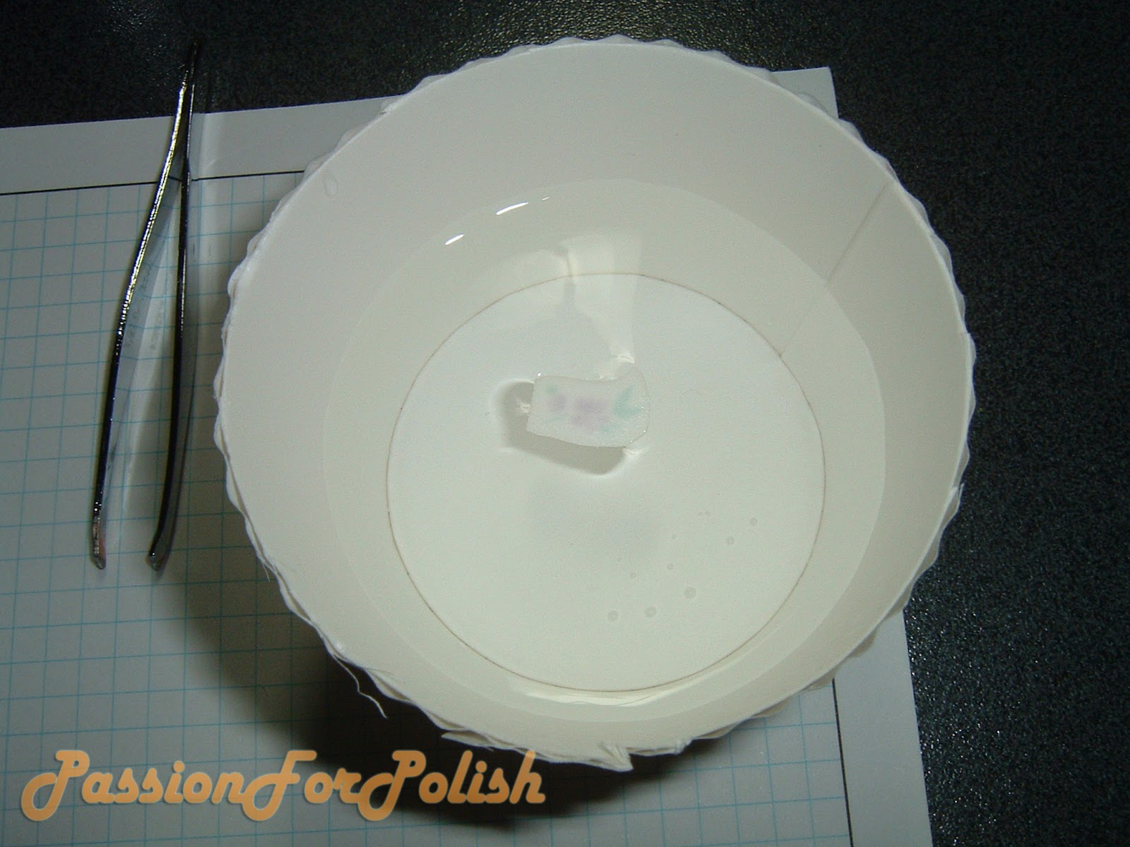 PassionForPolish How To Apply Water Decals