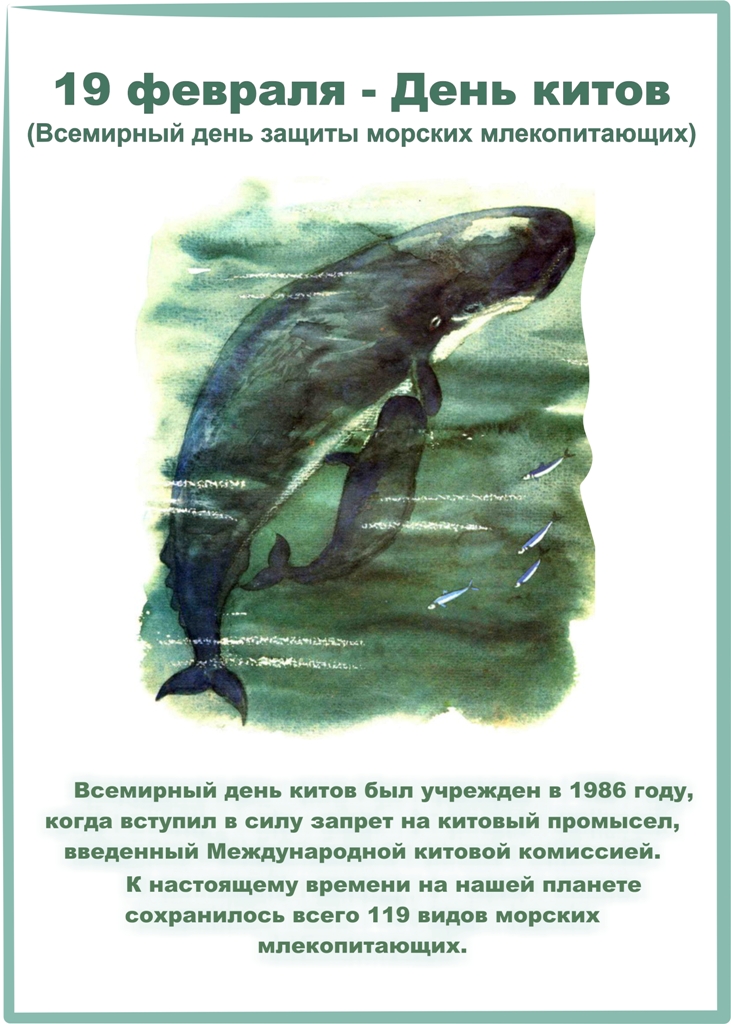 Всемирный день защиты морских млекопитающих