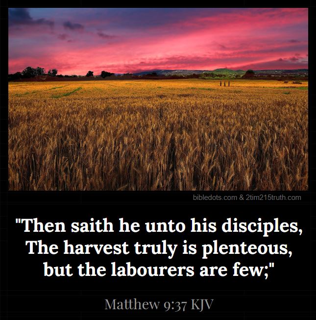 2-timothy-2-15-truth-verse-of-the-day-matthew-9-37-kjv