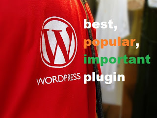 Plugin WordPress Terbaik Terpopuler dan Terpenting untuk Blog Anda