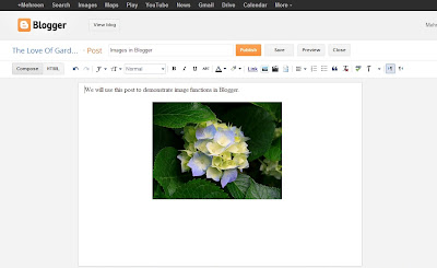 Cara Memasukkan Foto ke Postingan Blog Cara Memasukkan Foto ke Postingan Blog