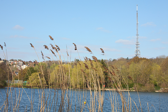 The Triangle SE19 South Norwood Country Park, and South Norwood Lake