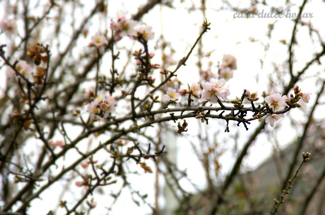 casa dulce hogar: Por el jardín y la casa a mediados de invierno