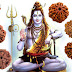 Types of Rudraksha