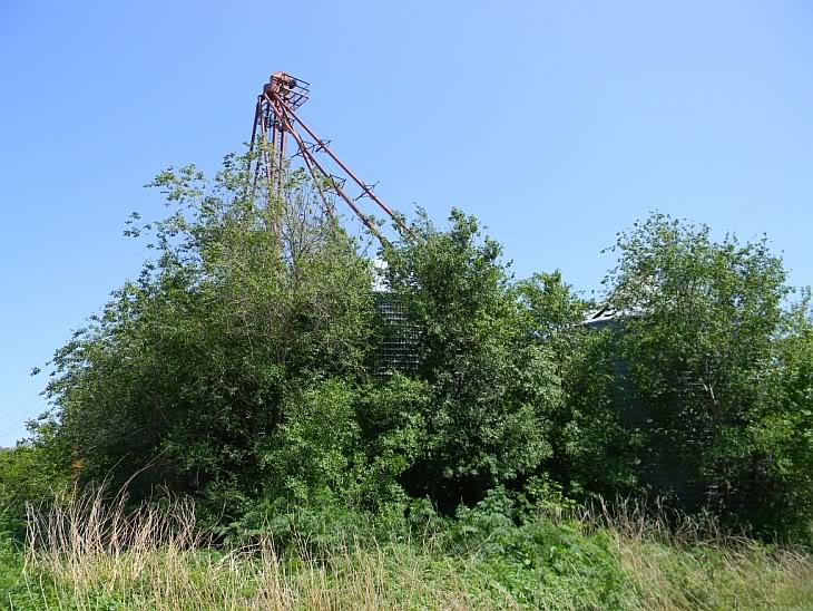 Sooner Ranch Mission Grainola, Oklahoma History