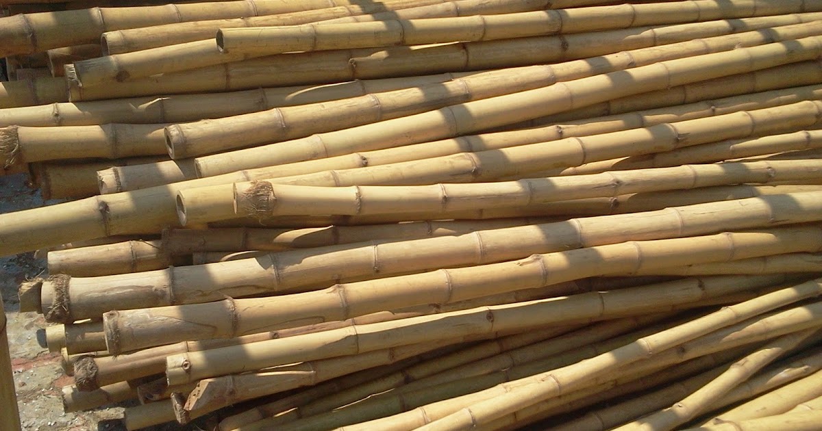 Quality Bamboo and Asian Thatch Decorative bamboo sticks onlineBuy