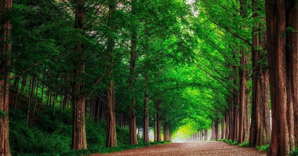 Sinopsis Dunia Sophie Taman Firdaus Pengetahuanku13 Sinopsis Dunia Sophie Taman Firdaus Pengetahuanku13