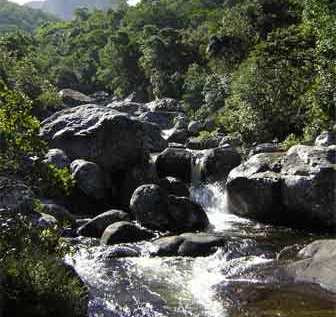 A river flowing on Mulanje Mountian