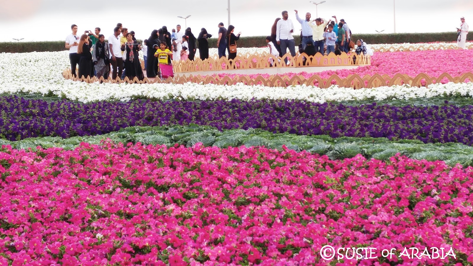 Jeddah Daily Photo Our World Walking thru the Flowers